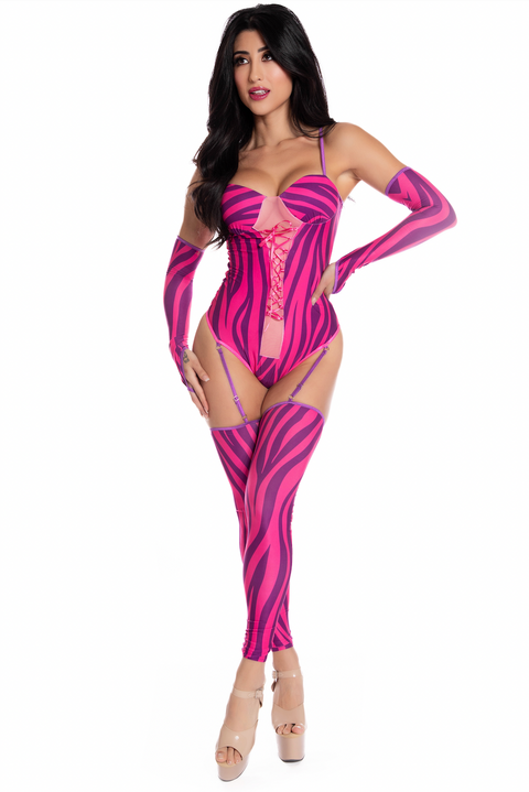 Mad Cat Costume, Sexy Cheshire Cat Costume, Sexy Alice in Wonderland Costume
