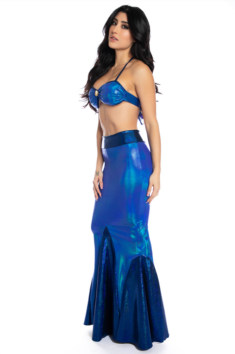 Royal Mermaid Costume, Sexy mermaid costume, Sexy blue mermaid costume