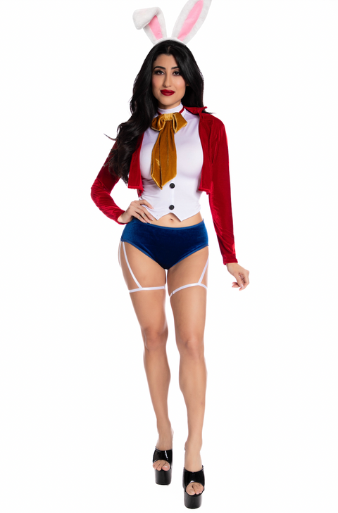 Wonderland Whiskers Costume, Sexy White Rabbit Costume, Sexy Alice in Wonderland Costume