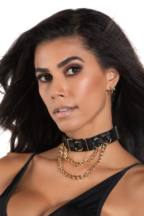 TNS8-12-010-1 Double Chain Collar