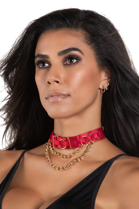 TNS8-12-044-1 Double Chain Collar