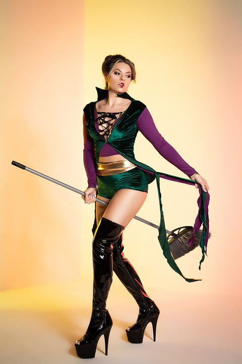 3208 - Spellbinding Winnie Costume